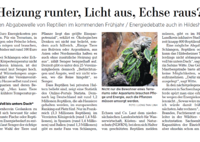 Artikel in der Hildesheimer Allgemeine Zeitung, 9.11.2022