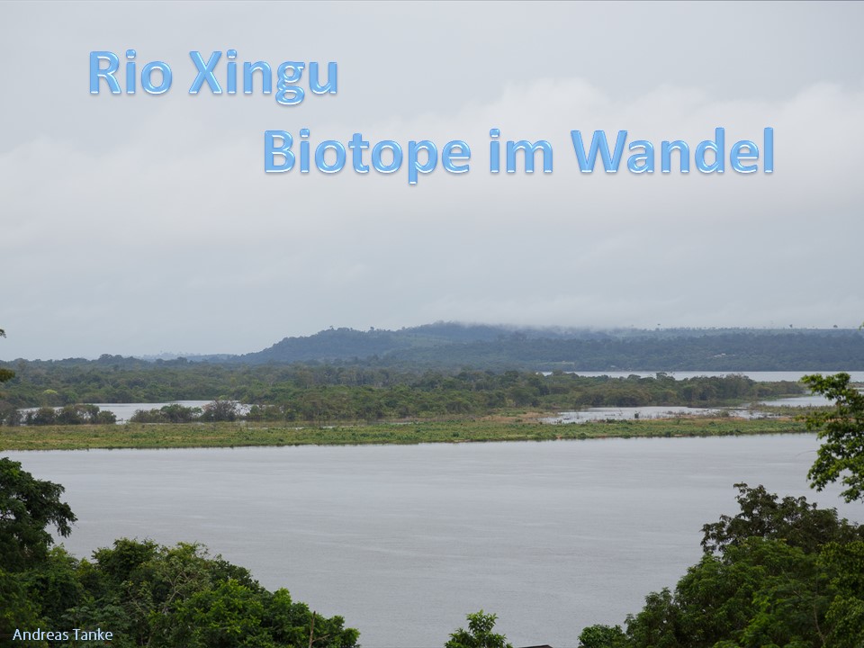 Rio-Xingu-Biotope-im-Wandel.jpg
